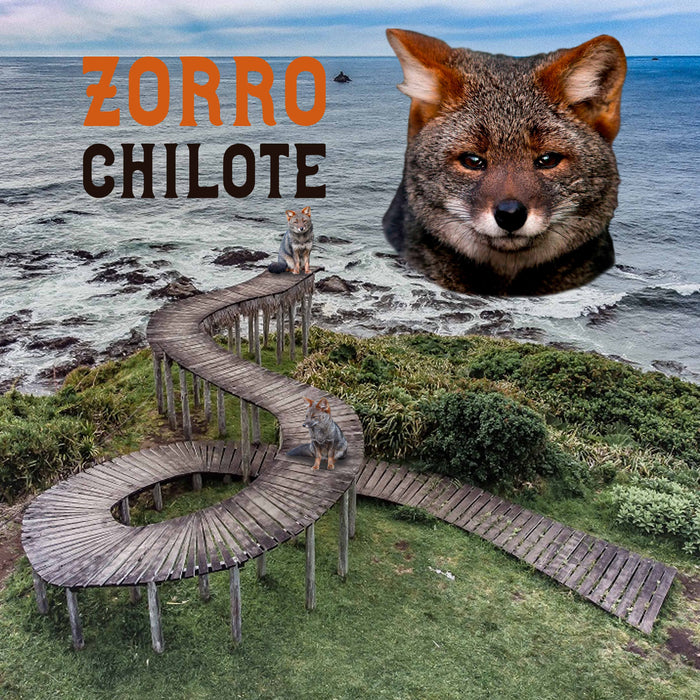 Calcetines Zorro Chilote Chiloé