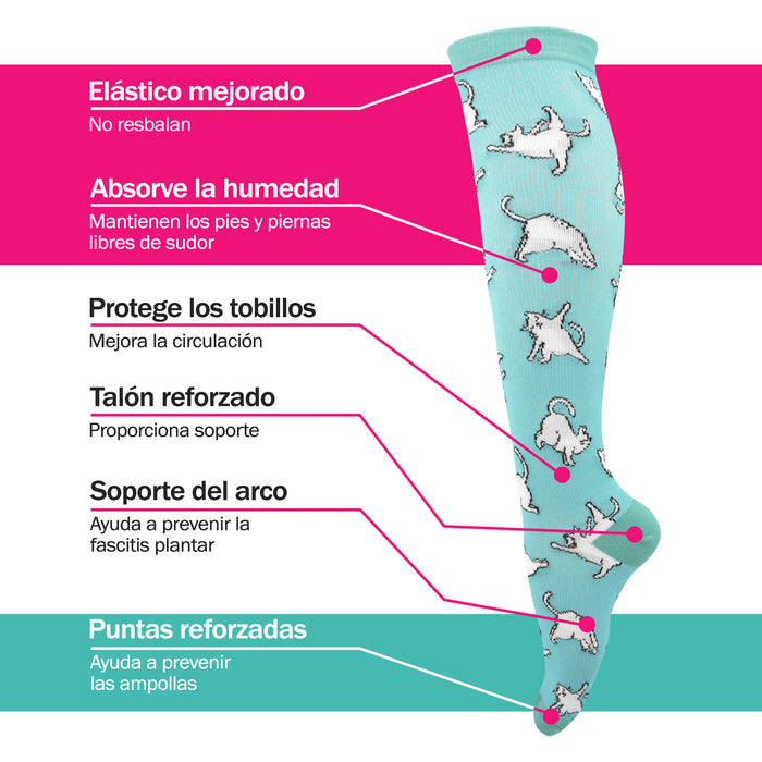 Infografia bucaneras compresión