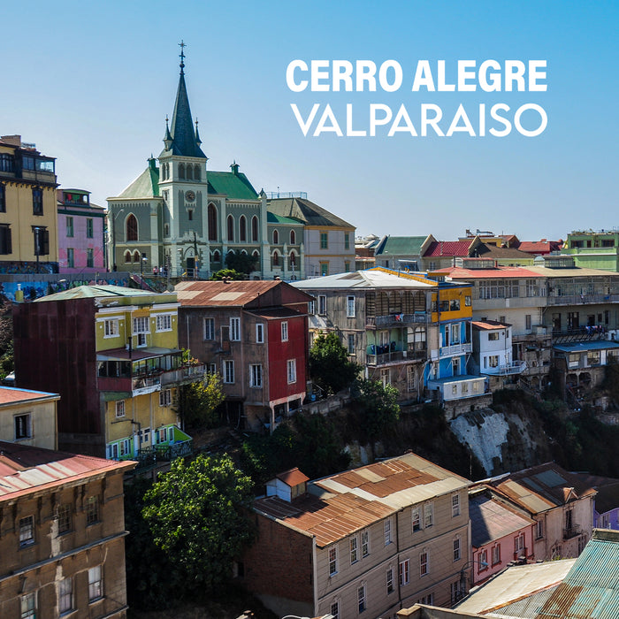 Portada calcetin algodon largo Valparaiso 605