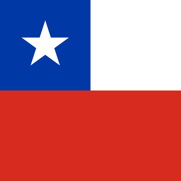 Portada calcetin algodon largo bandera Chile 600