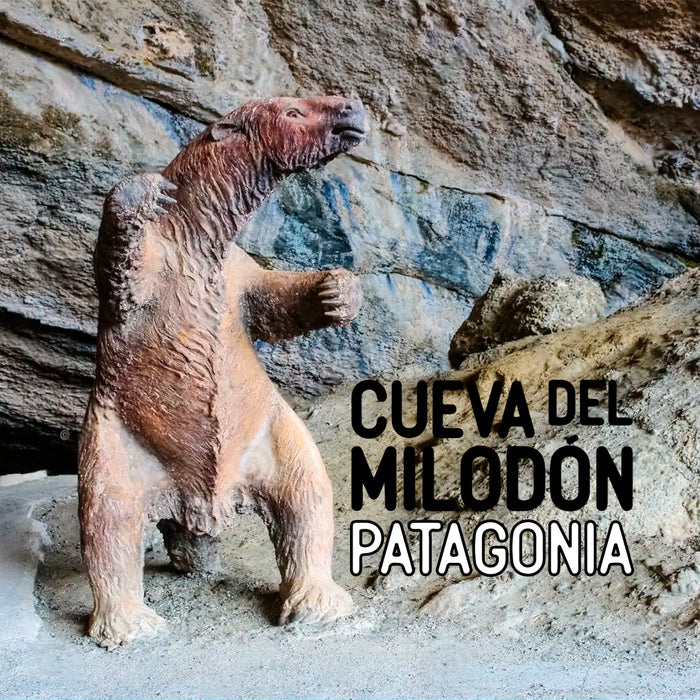 Portada calcetin algodon largo milodon 617