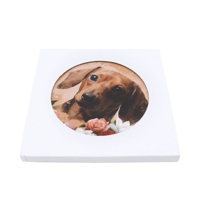 Posaollas Perro Salchicha Café Floral