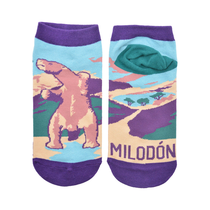 Calcetín Corto de Algodón Chile Milodón