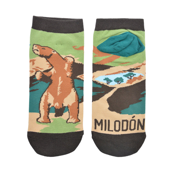 Calcetín Corto de Algodón Chile Milodón 41-45