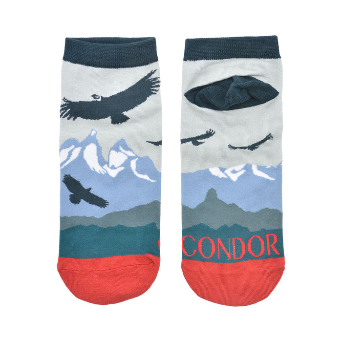 Calcetín Corto de Algodón Chile Cóndor 41-45