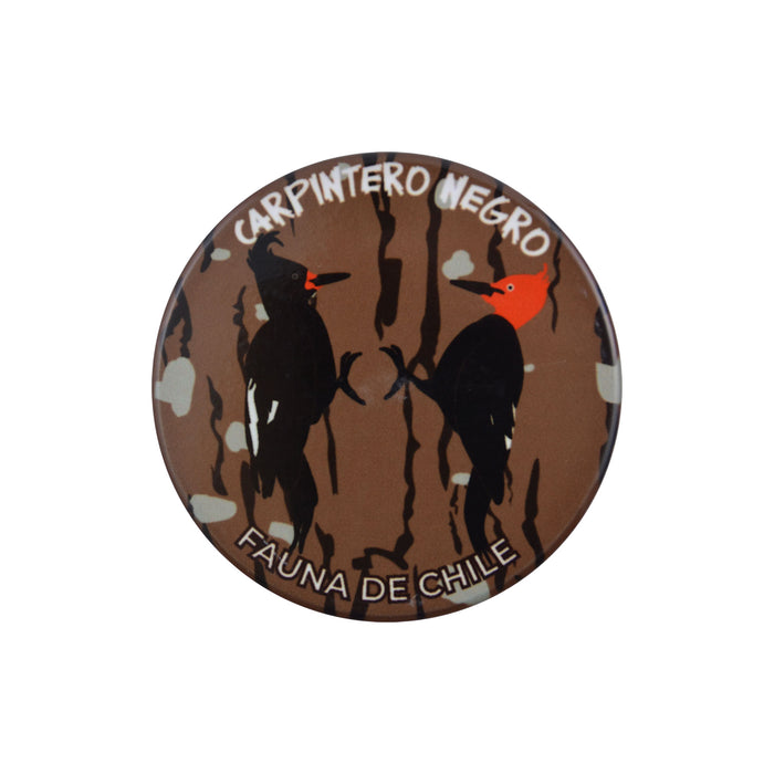 Imán Pájaro Carpintero Negro Fauna de Chile
