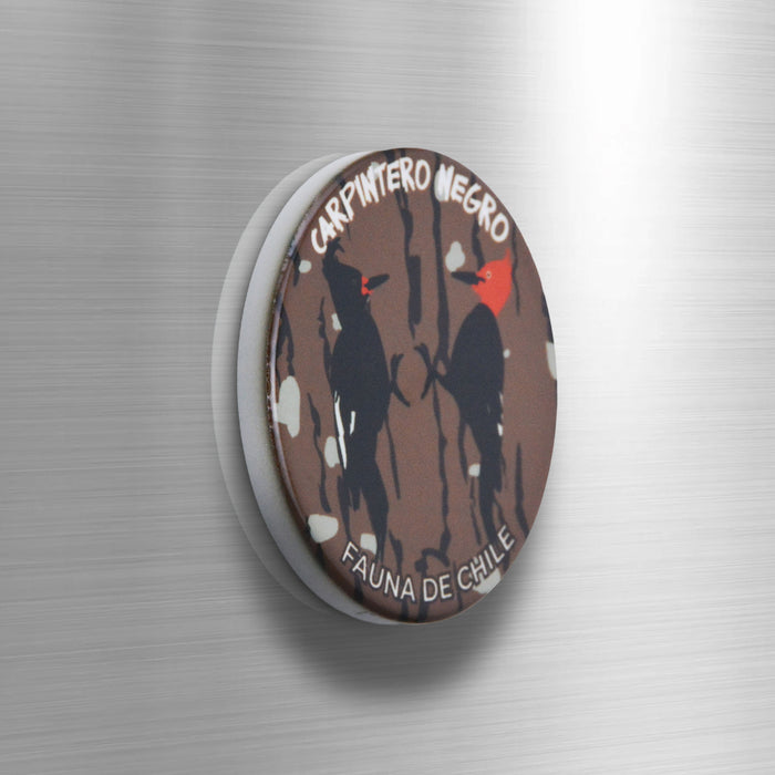 Imán Pájaro Carpintero Negro Fauna de Chile