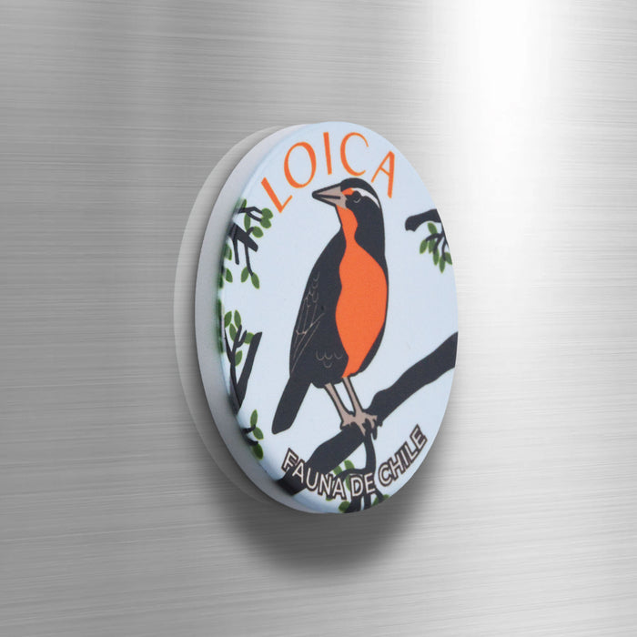 Imán Pájaro Loica Fauna de Chile