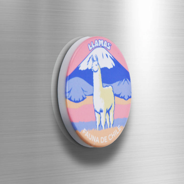 Imán Llamas Fauna de Chile