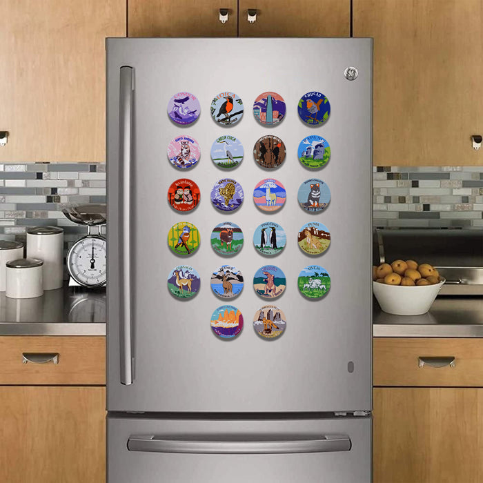 Imán Santiago de Chile