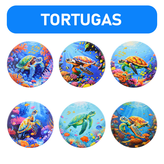 Set de 6 Posavasos Tortugas Marinas