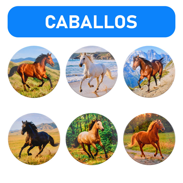 Set de 6 Posavasos Caballos Pura Sangre
