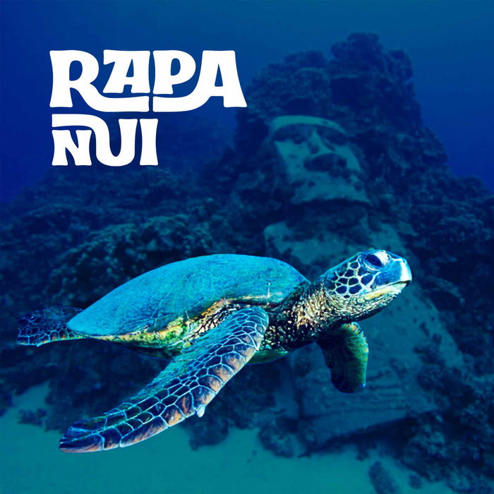 Calcetines Tortuga Rapa Nui
