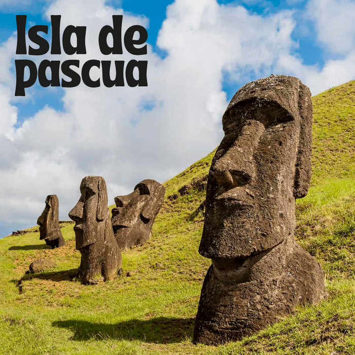 Calcetines Moai Isla de Pascua