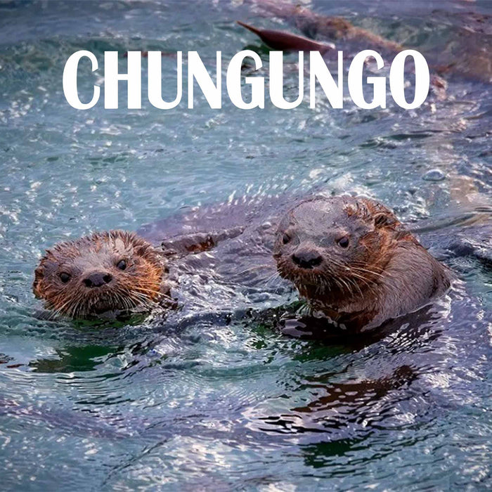 Calcetines Fauna de Chile Chungungo