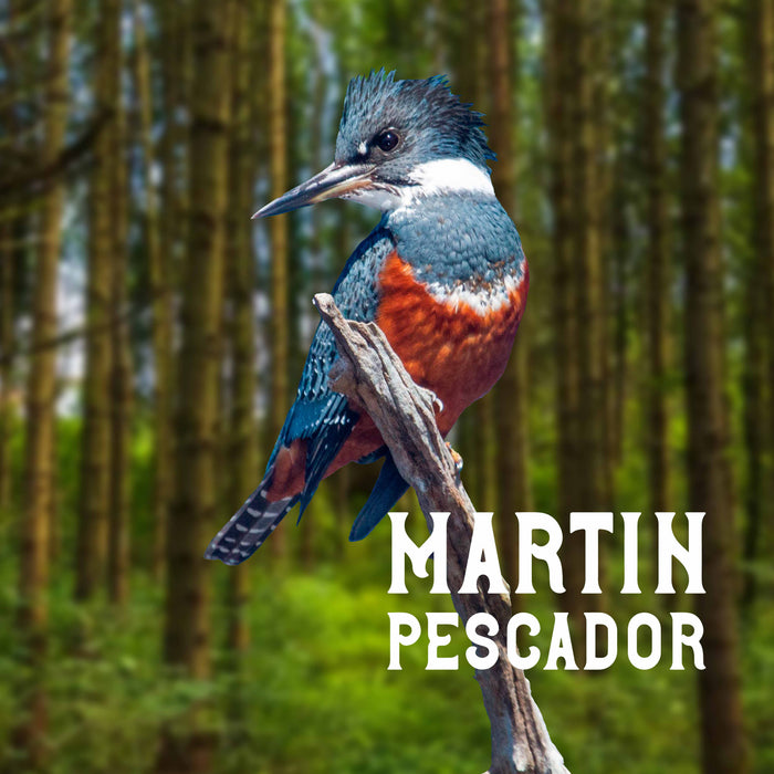 Calcetin algodon chile largo turista martin pescador 628