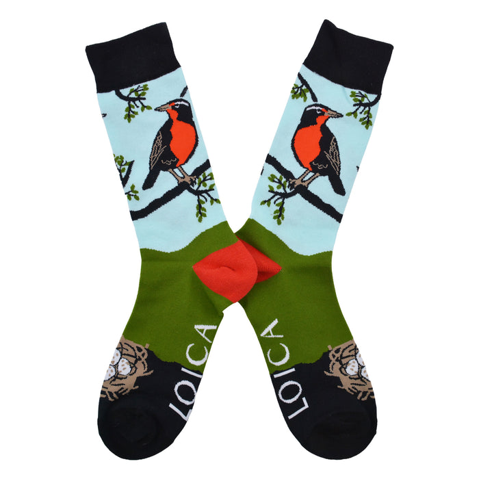Calcetines algodon estampado largo fauna chilena pajaro loica 630