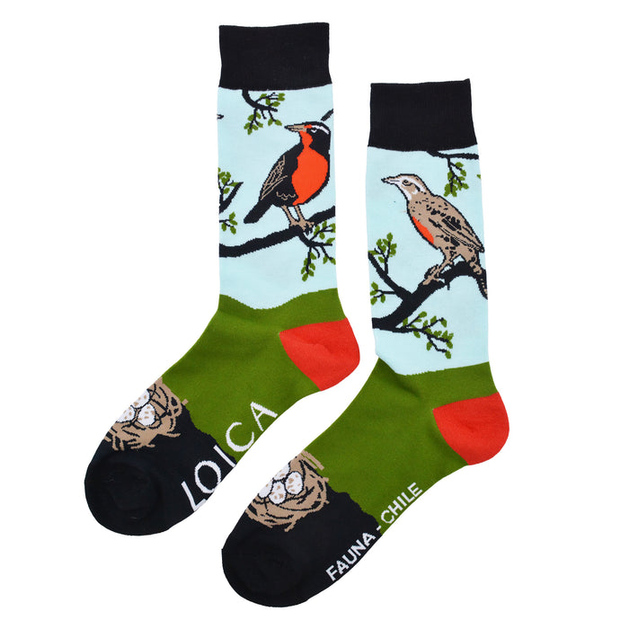 Calcetines algodon estampado largo fauna chilena pajaro loica 630