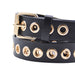 Cinturon tachas negro metal 
dorado 4234-2