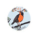 Espejo doble cara metal doble diseno loica 4137-10