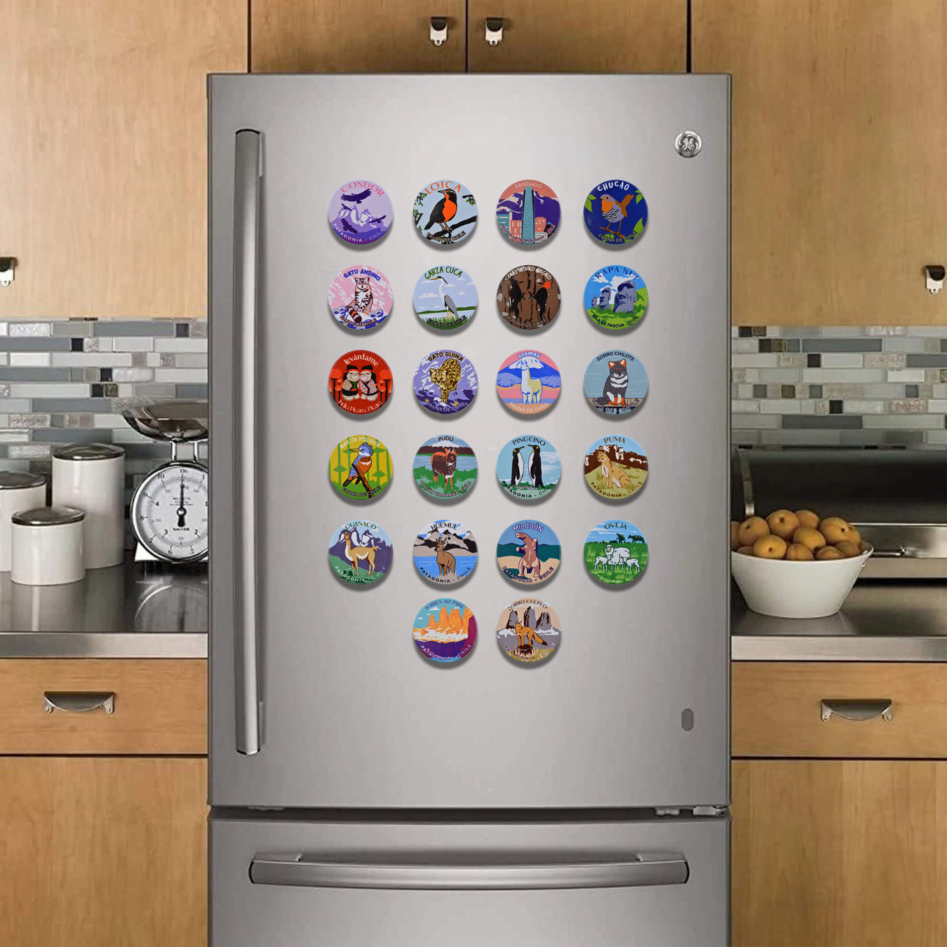 Imanes ceramica animales fauna refrigerador