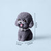 llavero perro cascabel poodle gris 3948-5