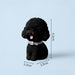 llavero perro cascabel poodle negro 3948-4