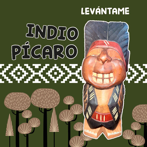 Calcetin algodon chile largo turista indio picaro 608