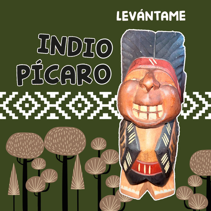 Calcetin algodon chile largo turista indio picaro 608