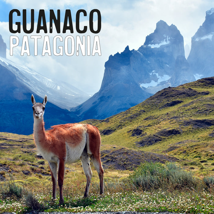 Portada Calcetin algodon largo 605