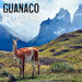 Portada Calcetin algodon largo 605