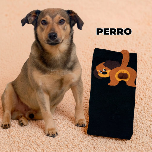 Portada Calcetin algodon largo beige perro 4141-2