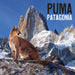 Calcetin algodon largo chile puma patagonia 301