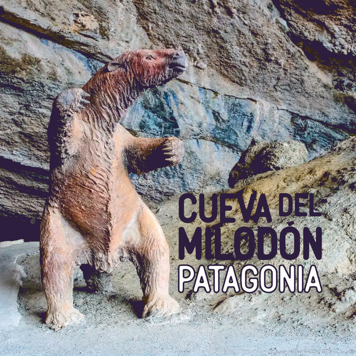 Calcetin algodon largo chile turista milodon mujer 357