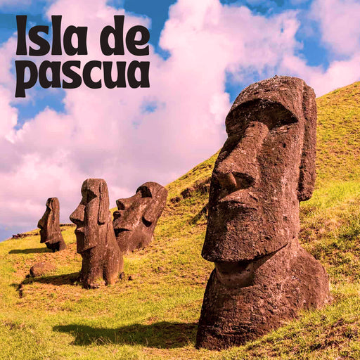 Calcetin algodon largo chile turista moai mujer 366