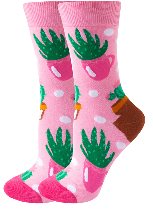 Calcetines algodon largo cactus 435