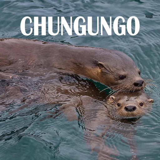 Calcetines largos algodon fauna chile chungungo mujer 375