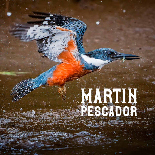 Calcetines largos algodon fauna chile martin pescador mujer 373