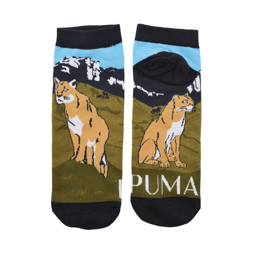 Calcetines cortos algodon fauna chile puma 4111-8