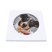 Posaolla ceramica corcho colgante perro fox terrier jardin 3372-3