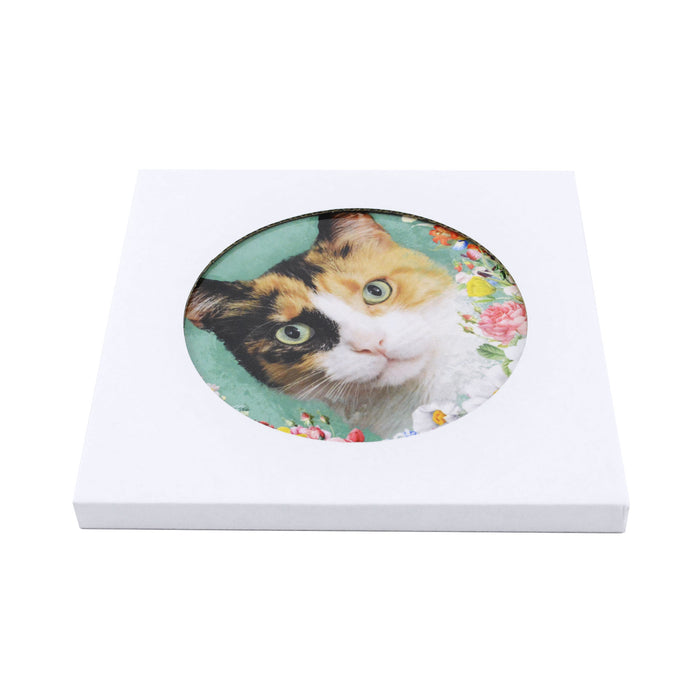 Posaolla gato calico floral caja
