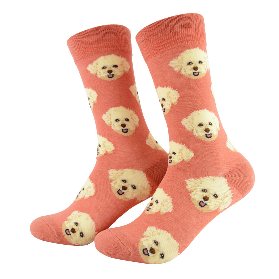 Mascotas