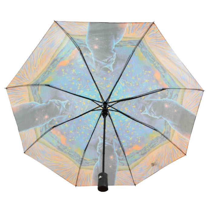paraguas sombrilla gato automatico invierno negro estrellado reves