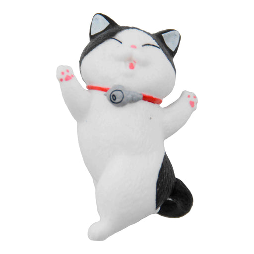 portada gato iman imanes bailando blanco negro plastico