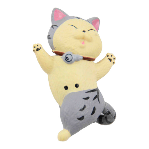 portada gato iman imanes beige gris atigrado plastico bailando