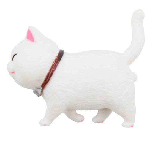 portada gato iman imanes blanco plastico