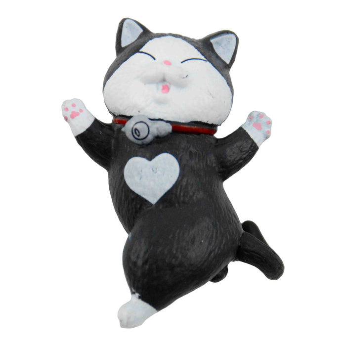 portada gato iman imanes negro blanco corazon plastico bailando