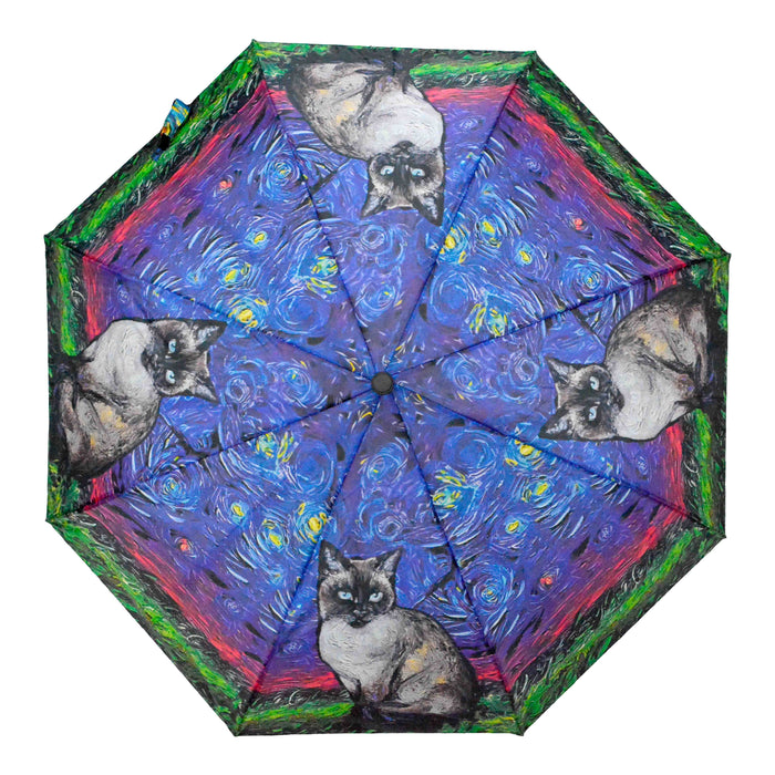 portada paraguas sombrilla gato automatico invierno siames 